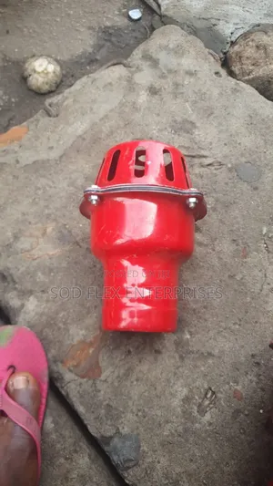 3" Non Return Valve