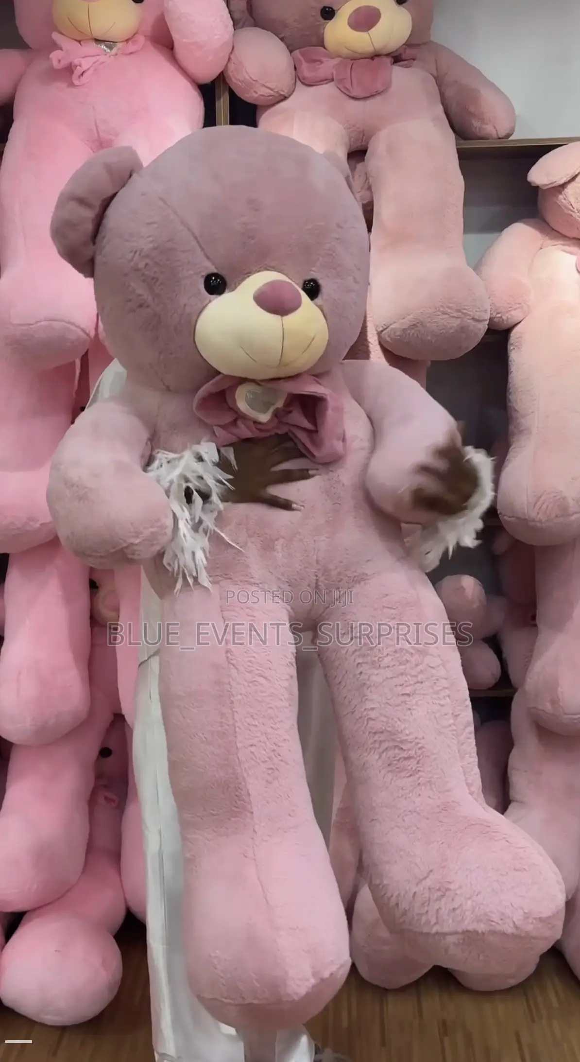 Plush Teddy Bears