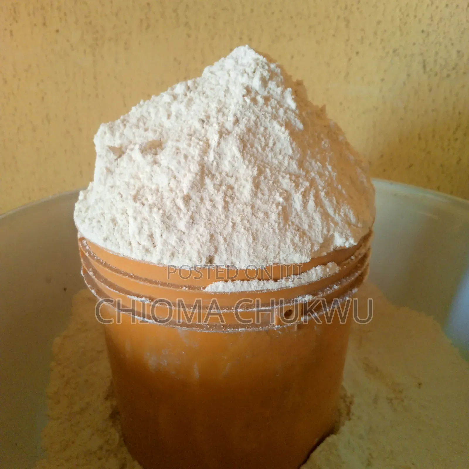 Pure Beans Flour