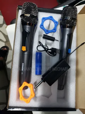 Professional Wireless Microphone