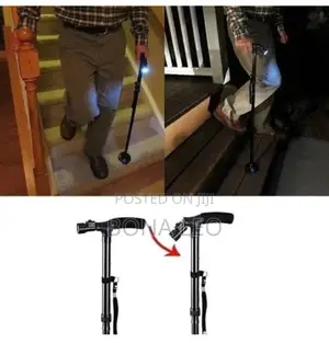 Good Dual Function Walking Stick