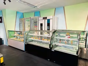 Quality Standing Cake Display Chiller