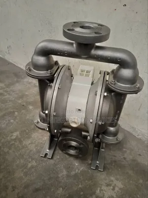1.5" Stainless Wilden Pump (Flange Type)