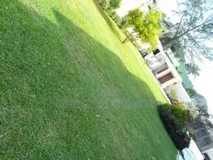 Landscaping and Gardening
