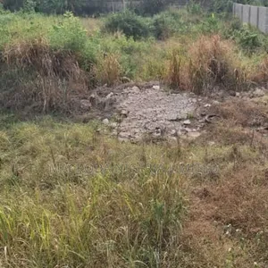 Bare and Dry Land Selling at Ikeja