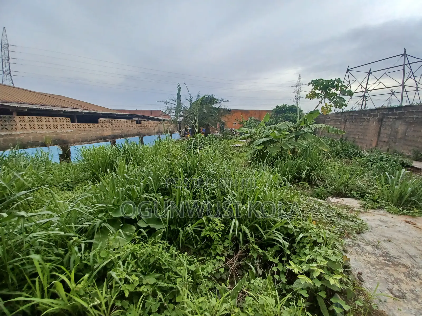 Full Plot With 5 Shops