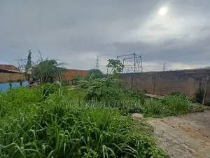 Full Plot With 5 Shops
