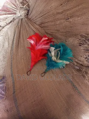 Plum Feathers