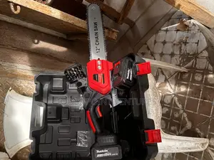 Cordless Chainsaw With a 12-Inch Blade.
