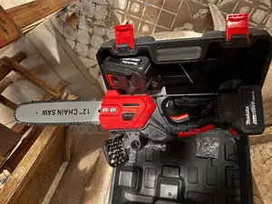 Cordless Chainsaw With a 12-Inch Blade.