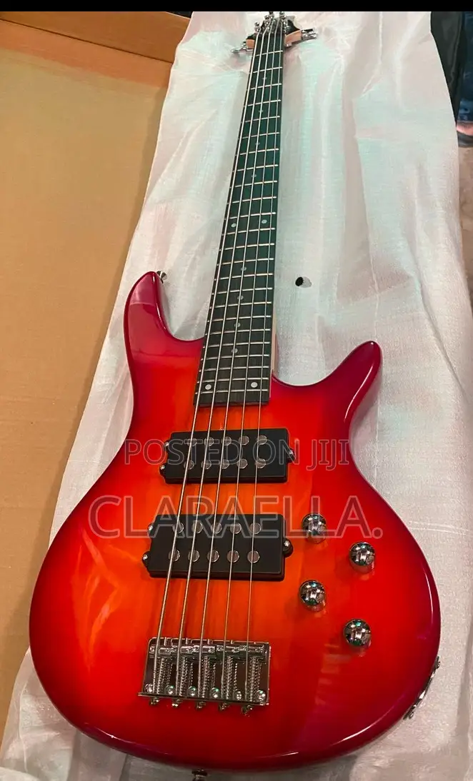 Five-String Fender Electric Bass Guitar