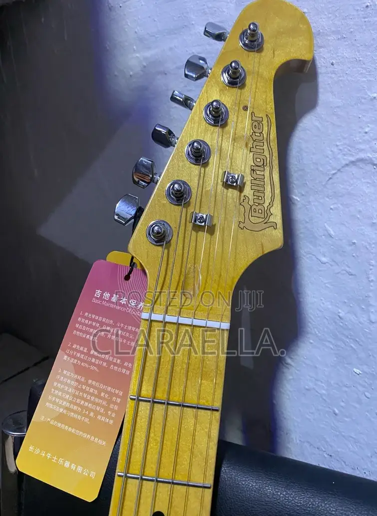 Professional Bullfighter Telecaster Electric Guitar