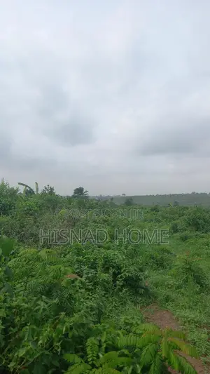 Photo - Hisnad Estate