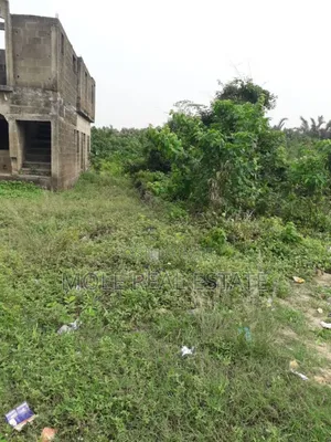 50ft By 50ft Ijegun, Ijegemo Ojo Lagos