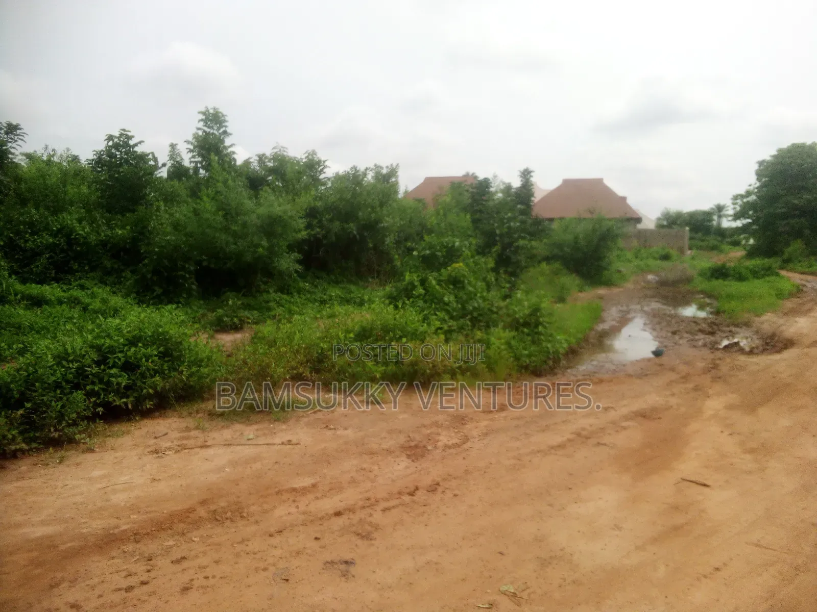 Building for Sale