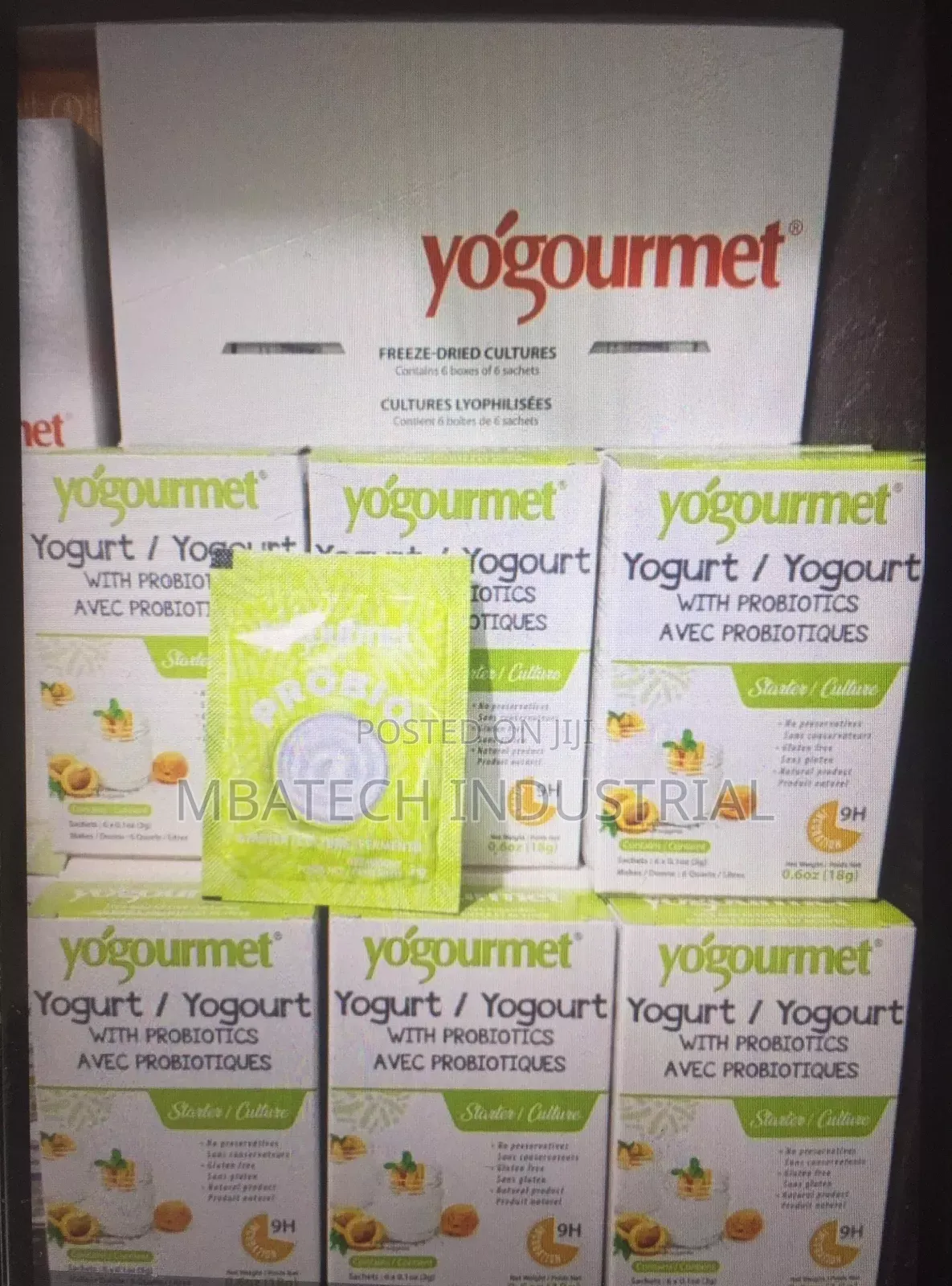 Probiotics Yoghurt Starter