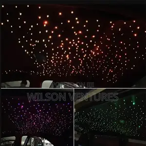 Fiber Optic Car Ceiling Roof Star Light App Music Control