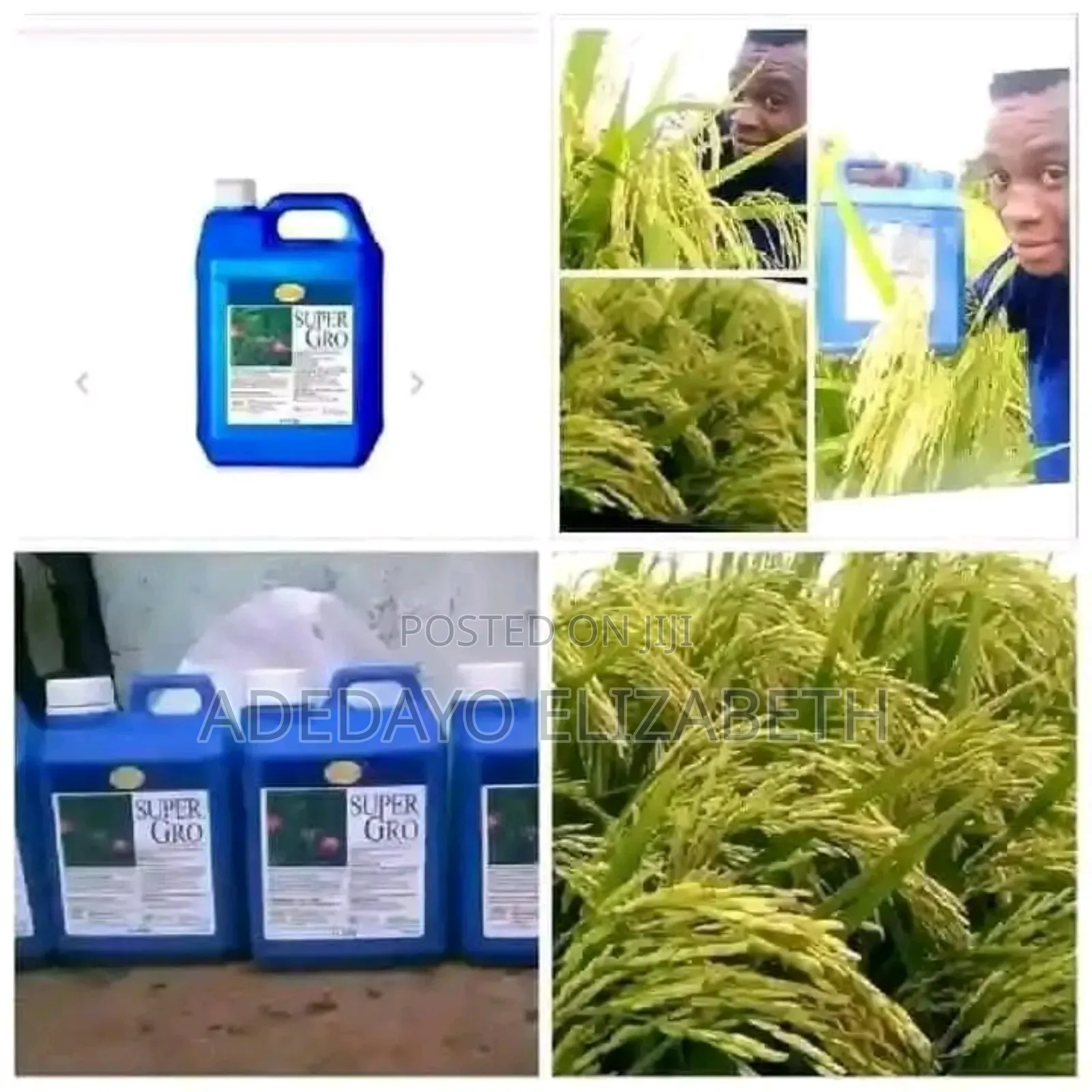 Supergro Organic Fertilizer