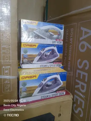Qasa Electric Steam Iron