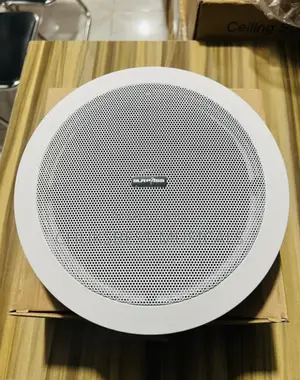 Surpass High Quality Ceiling Speakers