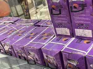 Sunergy Tubular Batteries
