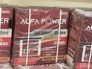 Alfa Power Tubular Batteries