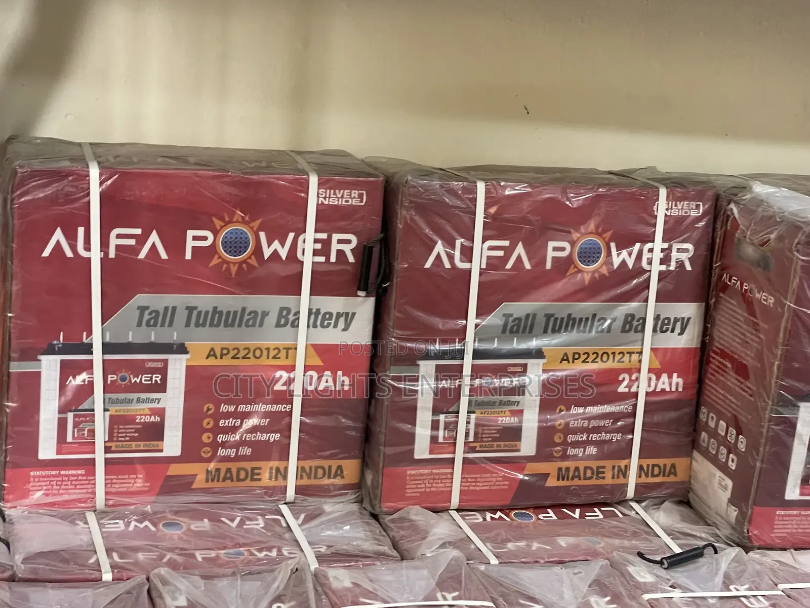 Alfa Power Tubular Batteries