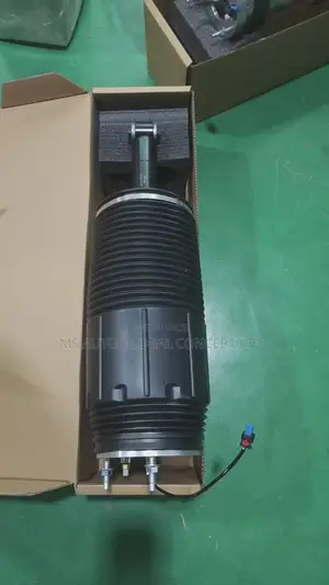 Cadillac Escalade 2024 Back Shock