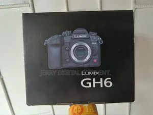 Panasonic Lumix Gh6 Body Camera