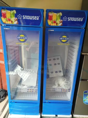 Snowsea Upright Cooler 400l Made in France