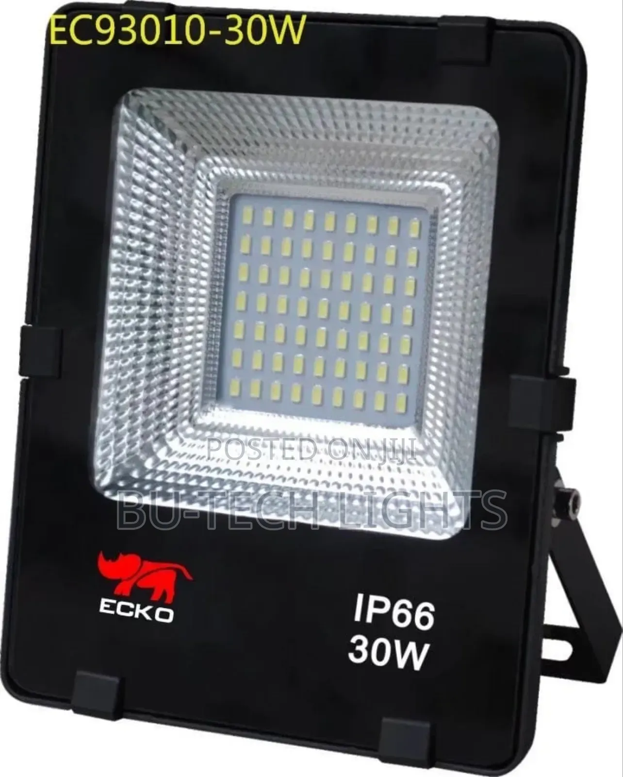 Electric Powered Floodlight