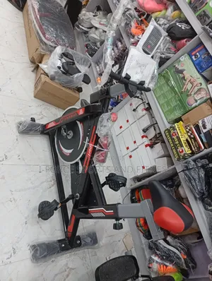 Normal Spinner Bike