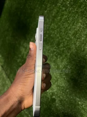 Apple iPhone 15 Pro Max 256 GB Silver