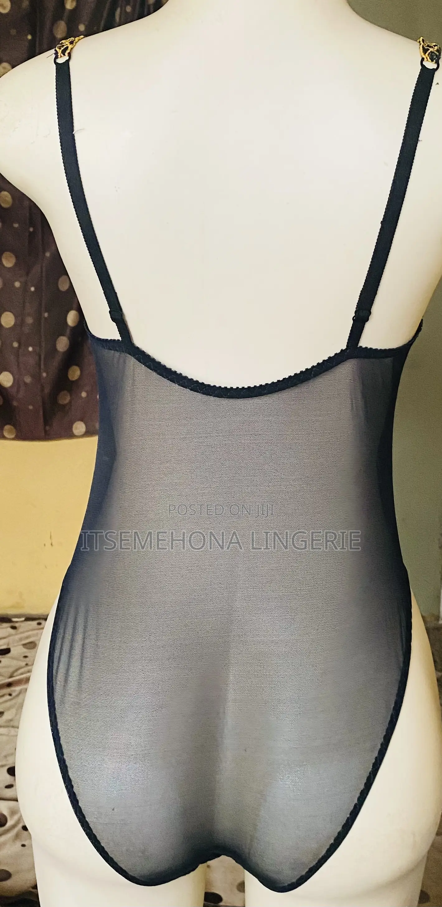 Sexy Lace and Sheer Bodysuit