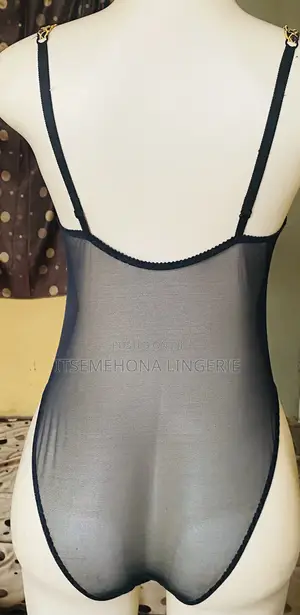 Sexy Lace and Sheer Bodysuit