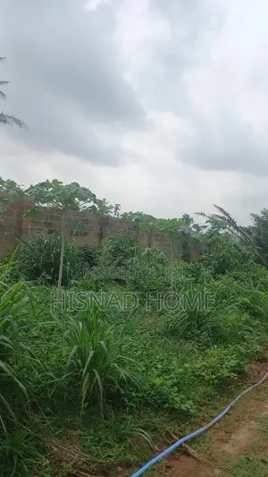 Photo - Land for Sale at Shimawa, Ogun State