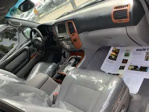Toyota Land Cruiser 2007 Gray