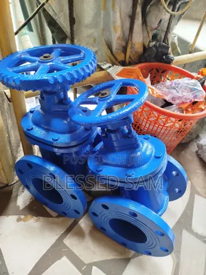 Cast Iron Gate Valve