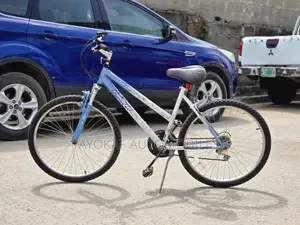 Foreign Bicycle