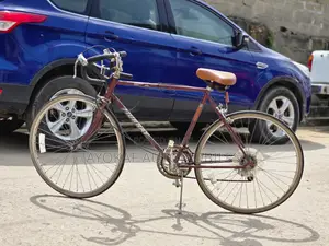 Foreign Bicycle