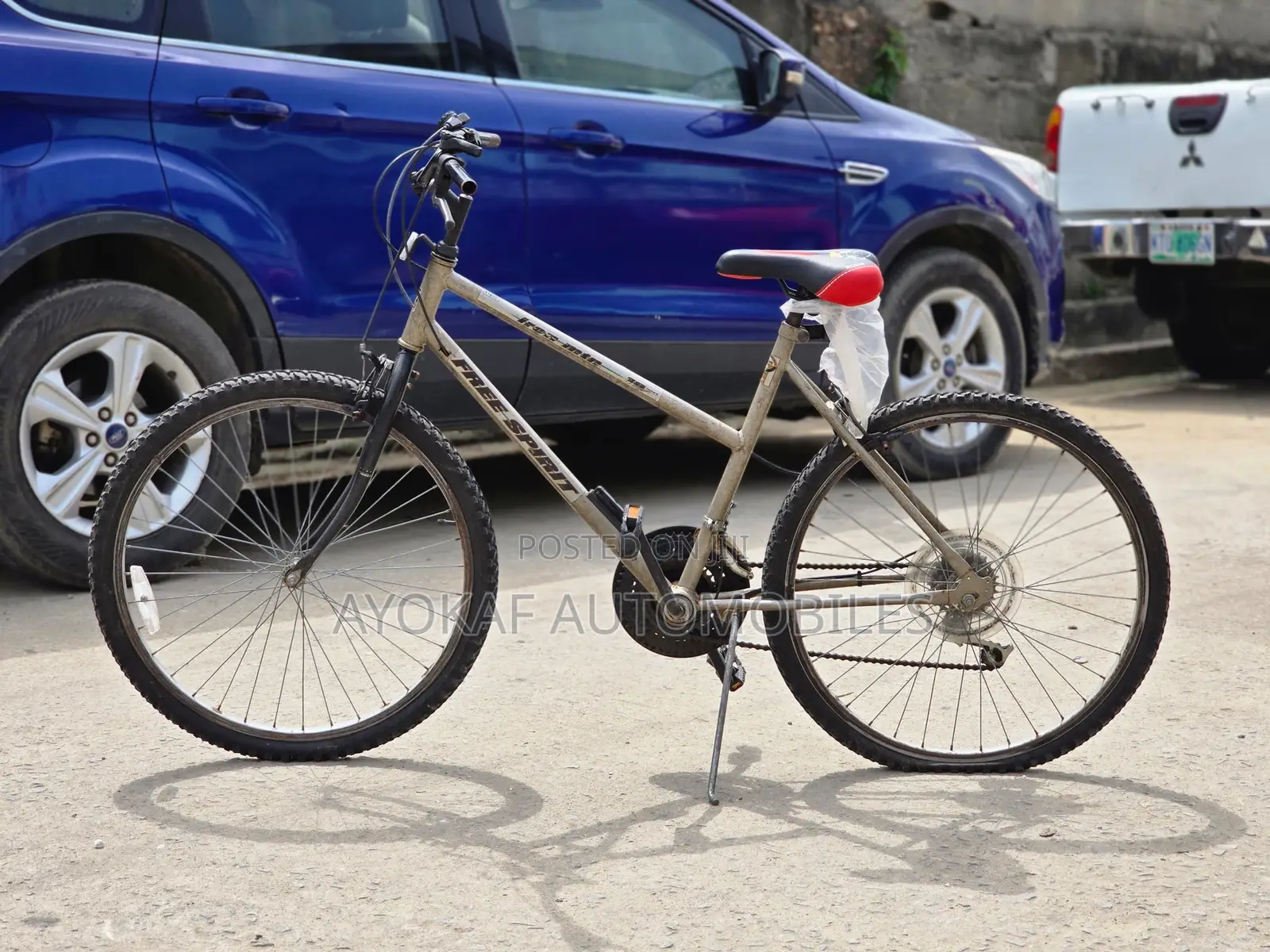 Foreign Bicycle