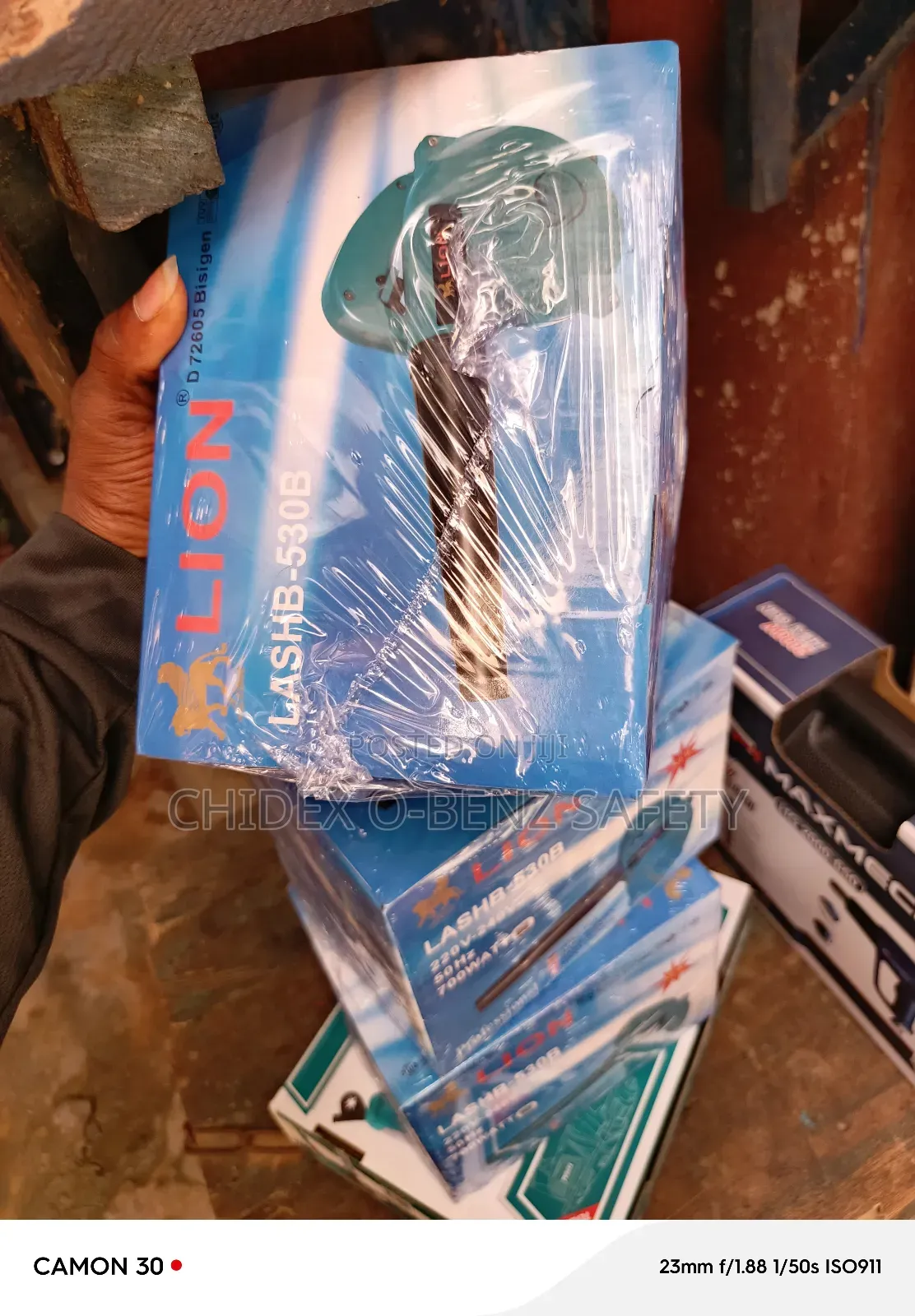 Lion Blower