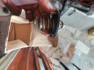Thermostat Kia Optima 2017
