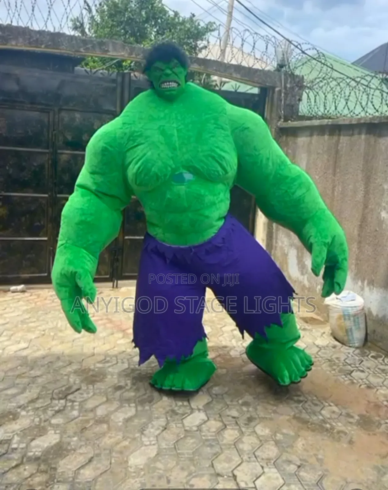 Hulk Inflatable Mascot Costume