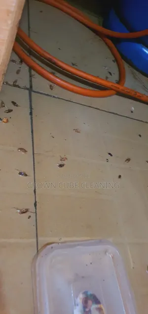 Fumigation Services Confirmed