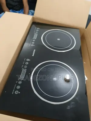 Cook Anywhere, Anytime: Polystar Hotplate