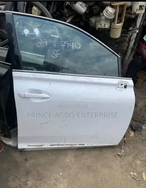 Door Rx 350 2010 Model