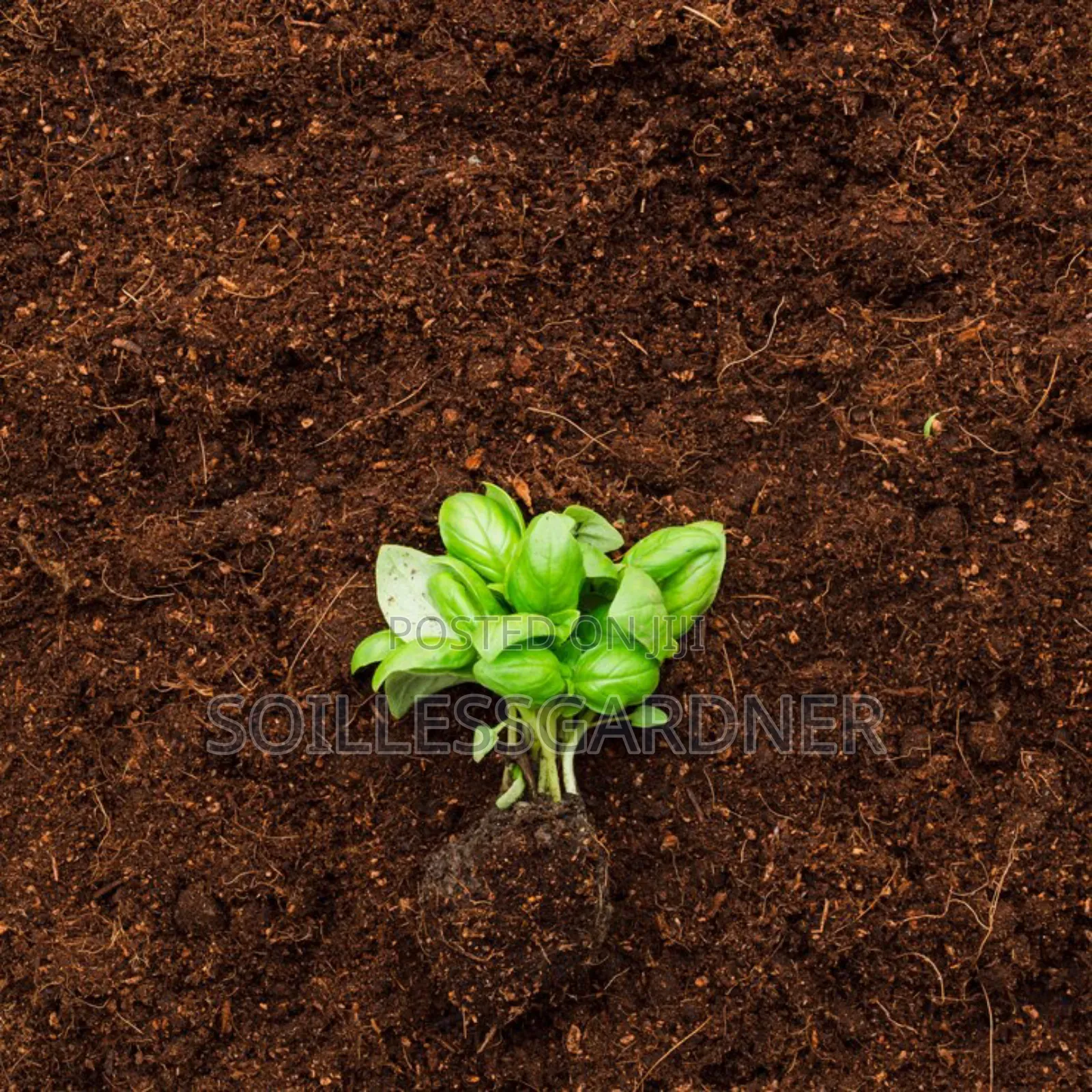 Buffered Coco Peat