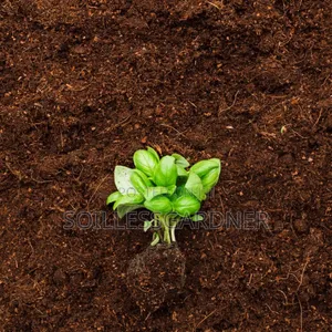 Buffered Coco Peat