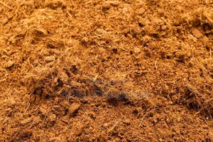 Buffered Coco Peat